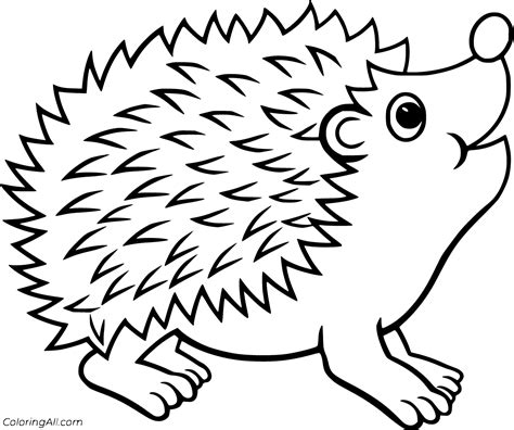 Hedgehog Printable